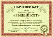 Сертификат рекламного агентства Российской Ассоциации BTL
